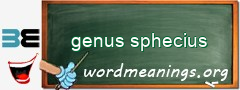 WordMeaning blackboard for genus sphecius